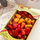 해오름농장 3 이미지