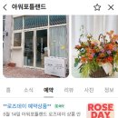 아워포틀랜드(our ffottle land)