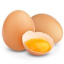 노른자 이미지
