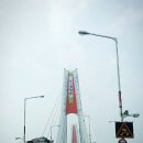 남산토종닭농장 | 영흥도 자연산 흰점박이꽃무지 종충센터 다녀오다