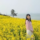 수성당경로당 이미지