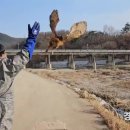 경북야생동물구조관리센터 이미지