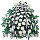 운남초교 이미지