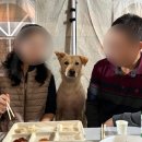 멍집 | 태안 대형견 동반 가능한 애견 펜션 멍집 펫니스 태안 미션투어 추천 숙소 후기