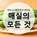 매화휘트니스 이미지