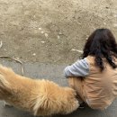 도파민 인간의 템플스테이(속세 탈출 대실패)