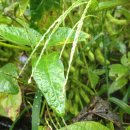 무성농장 이미지