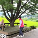 신정1리경로당 이미지
