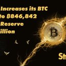 신화BTC