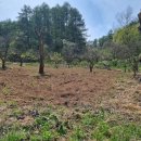 청도농장 이미지