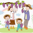 흙진주포도체험마을 이미지