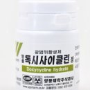 영풍 독시사이클린 효능·부작용·처방 기준과 복용법, 용량 정리
