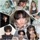 태산체육관 | 행복과 불행은 종이 한 장 차이 (보넥도 노장르 쇼케, 이세페 후기)
