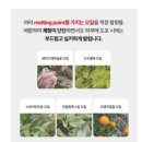 넘버원닥터 | 추천템 | 또산템 2탄! 닥터오라클 큐어소나 리커버링 릴렉싱 크림 극건성&수부지 커플 인생 크림 후기