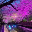 여좌천거리 이미지