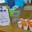 상상목장 이미지