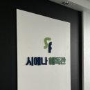 시에나힐링테라피