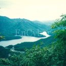 파파농장 이미지