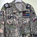전우군장