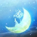Fantasia(환상곡) / Pavlo(파블로) 이미지