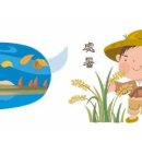 처서 (處暑) 이미지