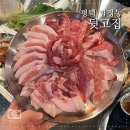 뒷고기육백 | 평택 합정동 맛집 노포 감성으로 즐기는 신선한 뒷고기 조개터 뒷고집