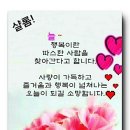 행복의료기 - 울진군 울진중앙로 165 | 행복의료기