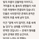 신묘 Daum카페