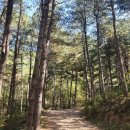 호명호수(갤러리) 이미지