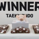 위너 태권도 이미지