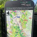 비오는 안산자락길 트레킹 (무장애 숲길) 이미지