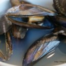 연화곰장어집 이미지