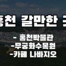 독도블루스 이미지