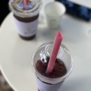 애견 쌀롱 네이버블로그