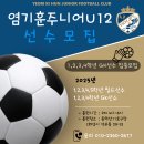 염기훈주니어축구클럽U12 U15선수모집. 이미지