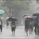 아델리오 에스테틱