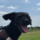 화성골프클럽 연습장 이미지