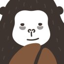 미스터콩