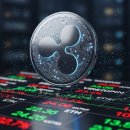 (주)리프매니지먼트 이미지