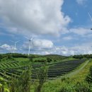 대명에너지2 이미지