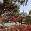 등촌근린공원 이미지