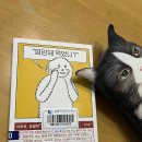 [실천학교]내 사주는 내가 본다, 쉬운 명리학 | 도서관덕후) 아무튼 영양제/ 옷을 사지않기로 했습니다/ 혼자라는 가족/ 초보노인입니다/ 공부 못했던...