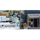 네이처페어리 이미지