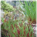 풀꽃농장 이미지