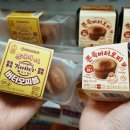 세븐일레븐 앞 이미지