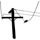 Bird On The Wire - Leonard Cohen 이미지