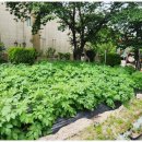 탐앤제인유치원 이미지