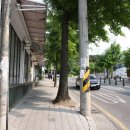 생오리오리 이미지