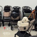 원미구 도약로 239 이미지