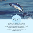 청경전복유통 이미지